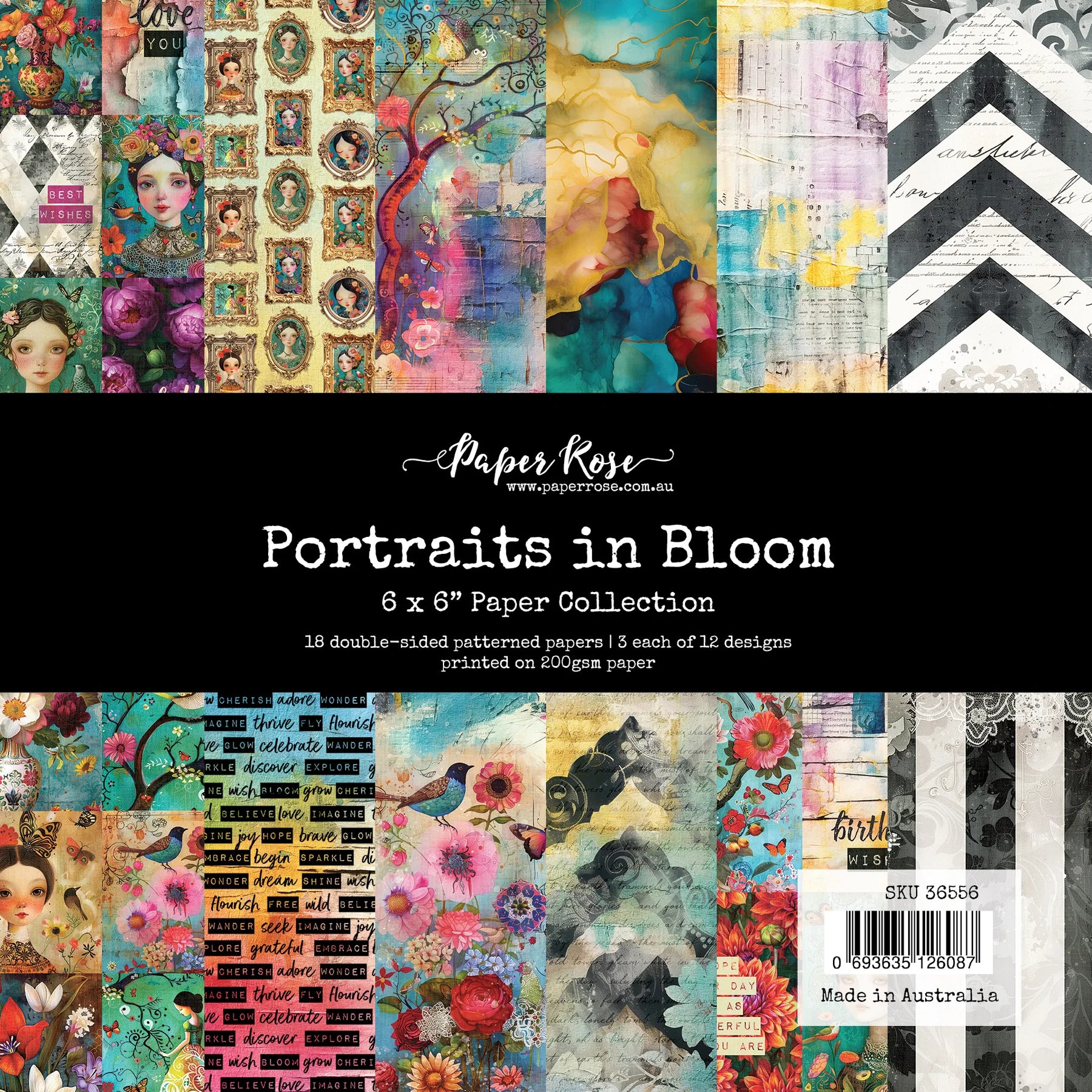 Colourful imges on a black background with paper rose Portraits in Bloom