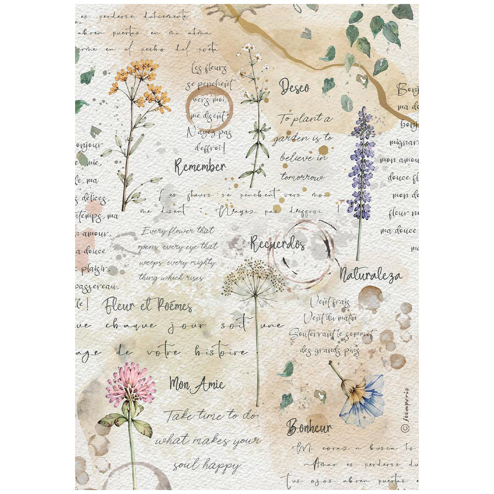 Stamperia Rice Paper Sheet A4 6pk - Flowers and Poems