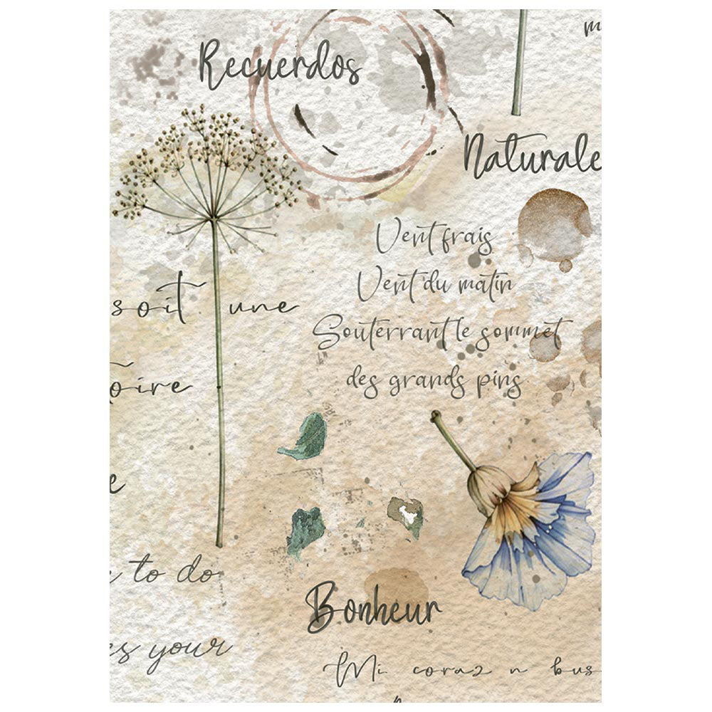 Stamperia Mini Rice Paper Sheets A6 - Flowers and Poems