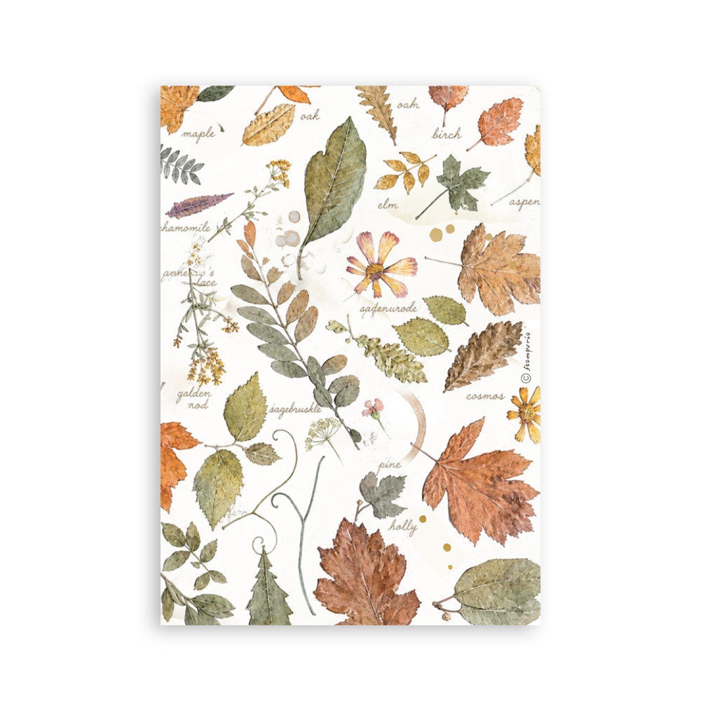 Stamperia Washi Pad A5 - Flowers and Poems