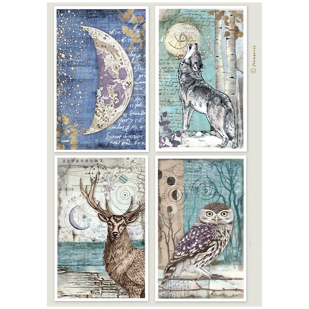 Stamperia Rice Paper Sheet A4 - Cosmos - 4 Cards