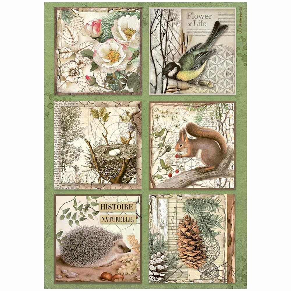 Stamperia Rice Paper Sheet A4 - Forest 6 Cards