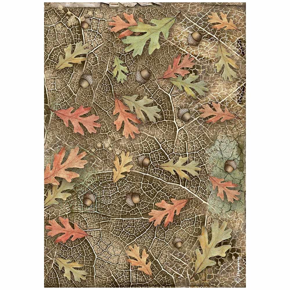 Stamperia Rice Paper Sheet A4 - Forest Acorns And Leaves