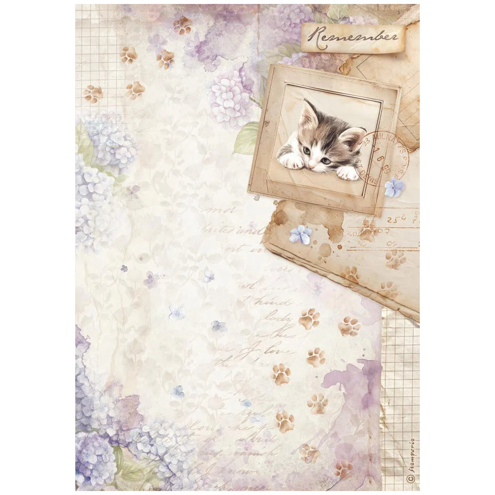 Stamperia Rice Paper Sheet A4 - Quiet Days Kittens