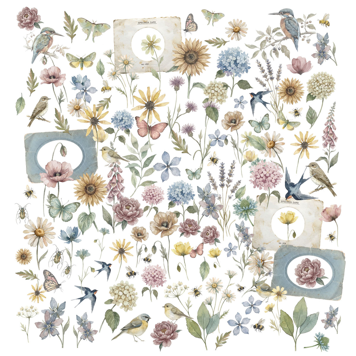 49 And Market Laser Cut Outs - The Quiet Observer Wildflowers