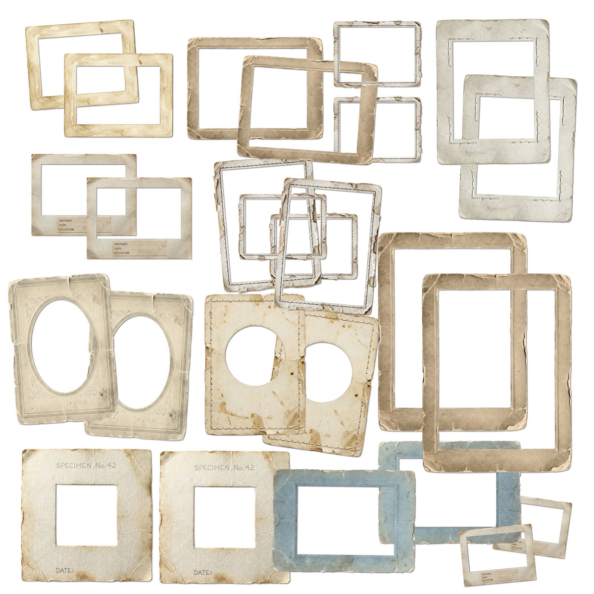 49 And Market - The Quiet Observer - Frame Set
