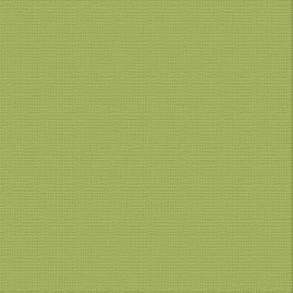 Textured Cardstock CC - Olive Grove - Leaf