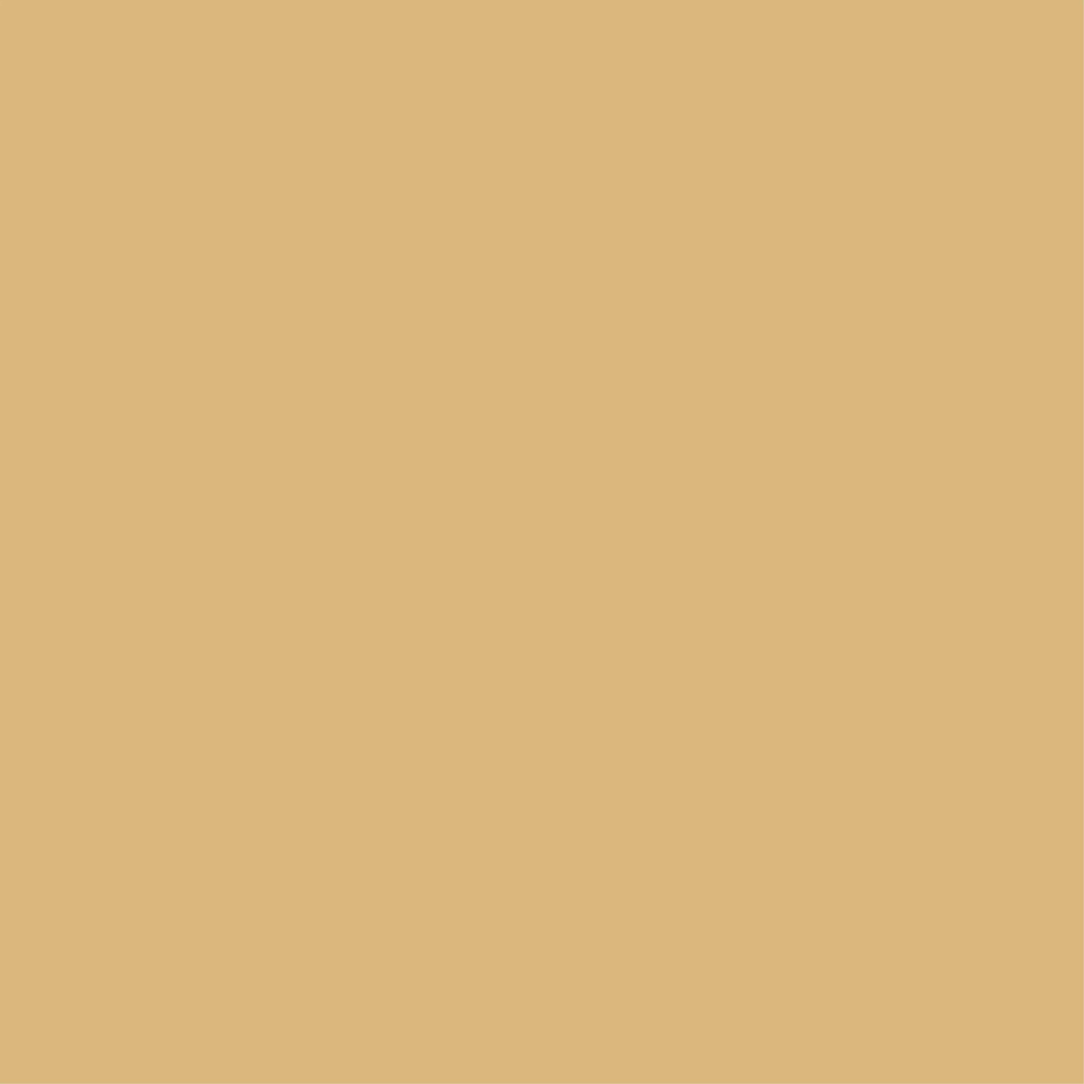 Uniquely Creative 12x12 Champagne Cardstock – Double-Sided Textured 250gsm