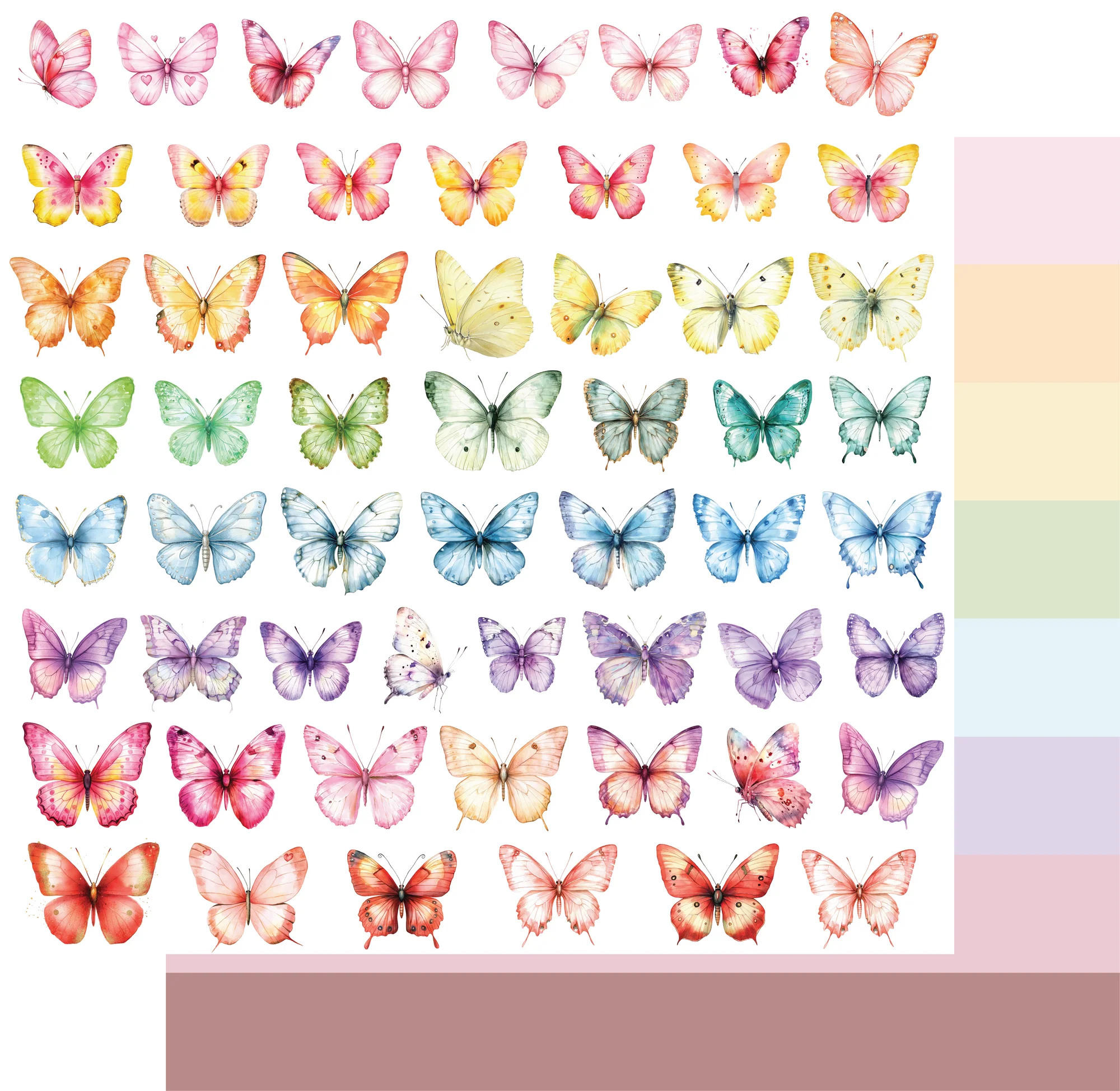 Collection of colorful butterflies arranged in a grid with a color swatch below.
