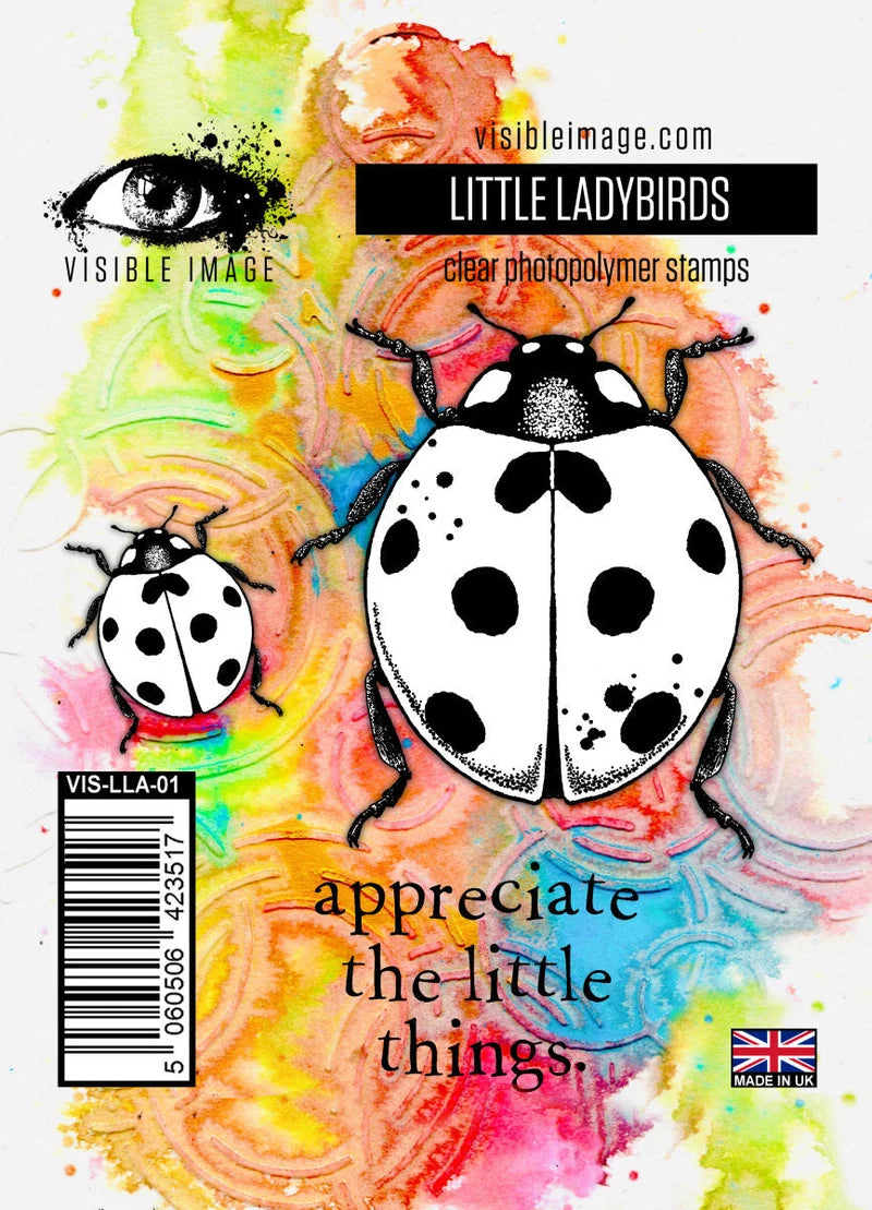 Clear photopolymer stamps with ladybird design on a colorful background