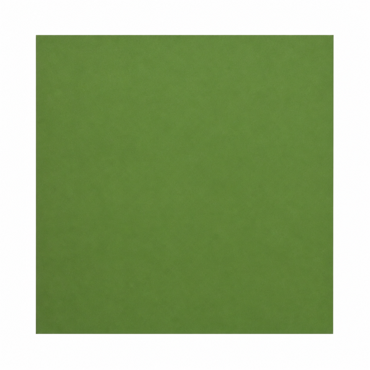 Single smooth Leaf green cardstock sheet on a white background