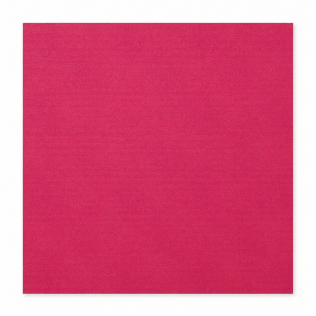Single textured Begonia rose-magenta cardstock sheet on a white background