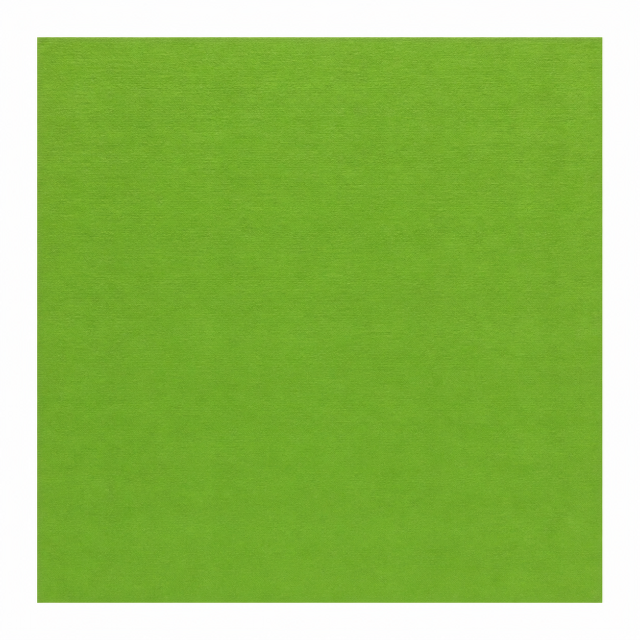 Single textured Grass green cardstock sheet on a white background