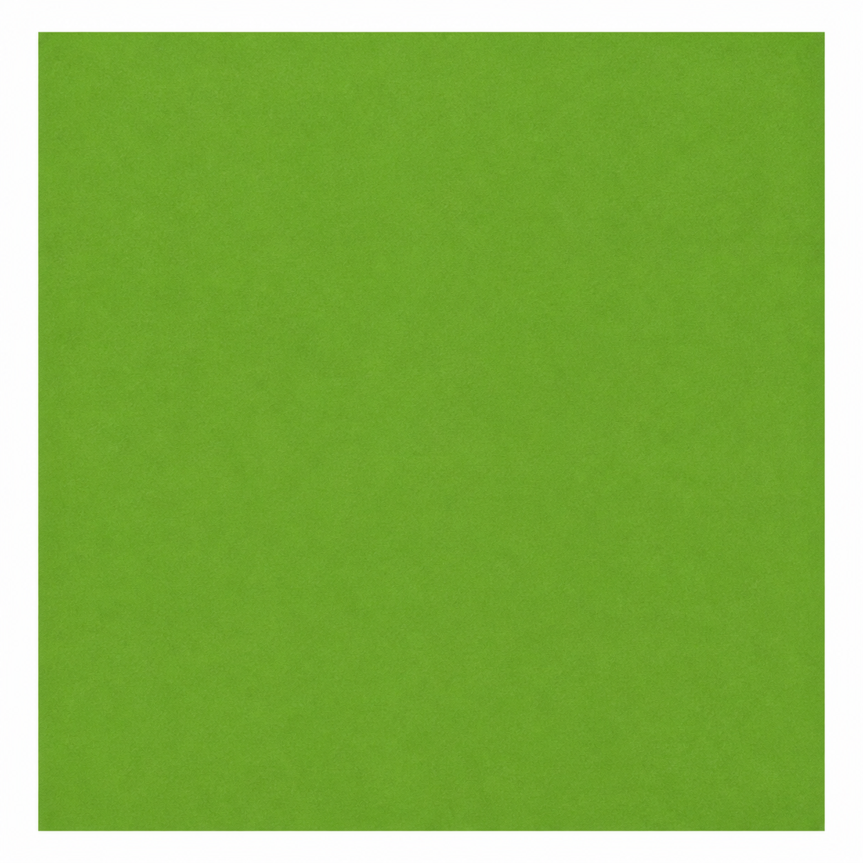 Single textured Leaf green cardstock sheet on a white background