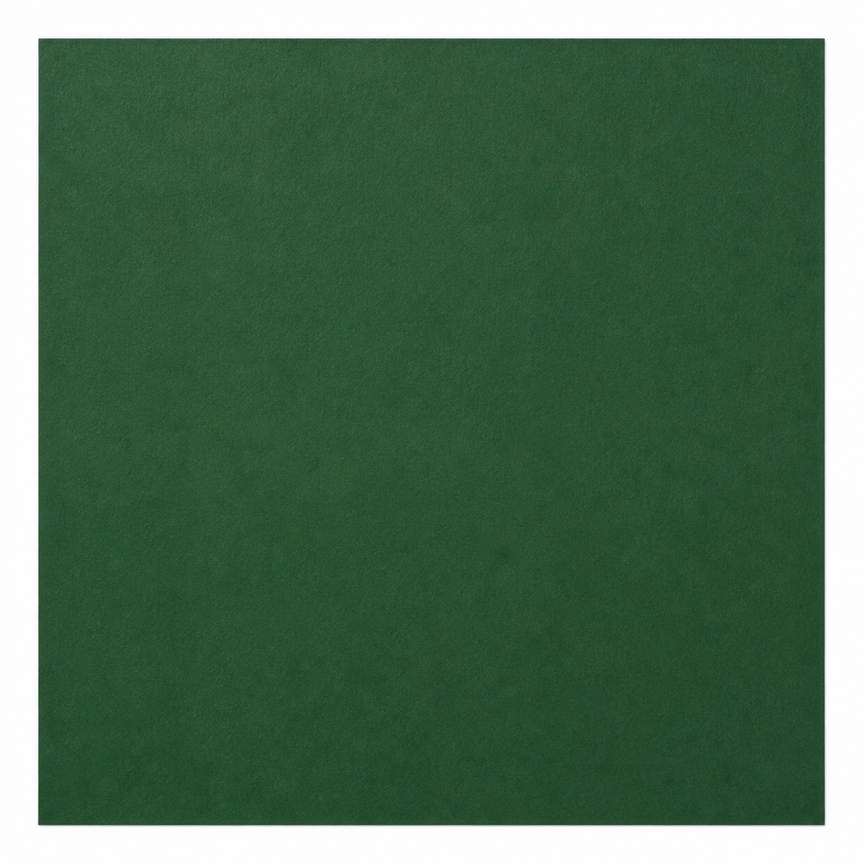 Single textured Pine green cardstock sheet on a white background