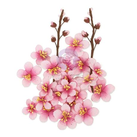 Pink cherry blossom flowers with brown branches on a white background