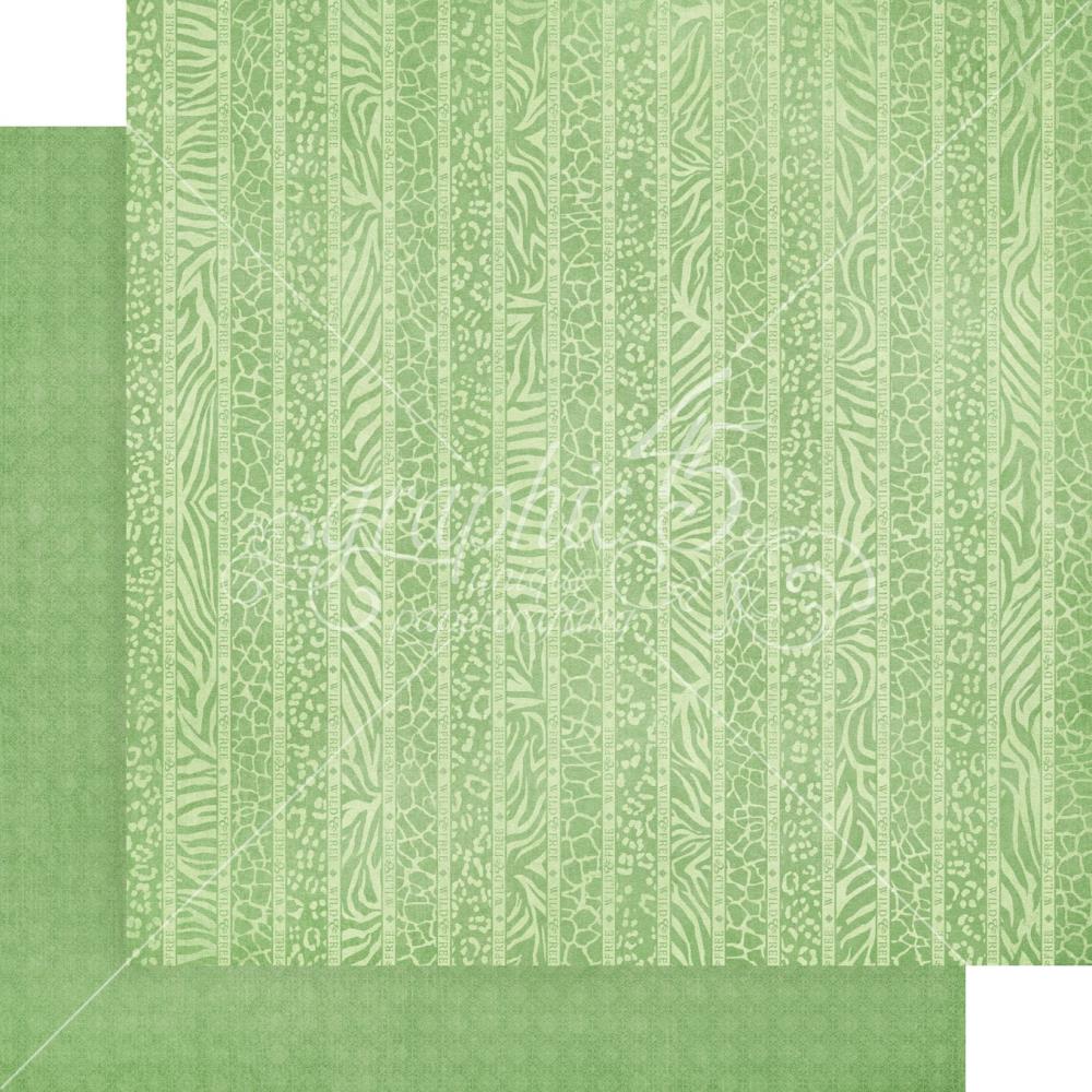 Graphic 45 - Patterns & Solids Double-Sided Paper Pad 12X12 - Wild & Free