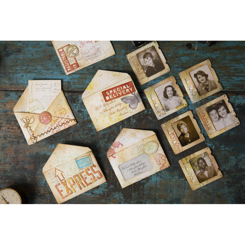 Sizzix Thinlits Dies By Tim Holtz - Specimen