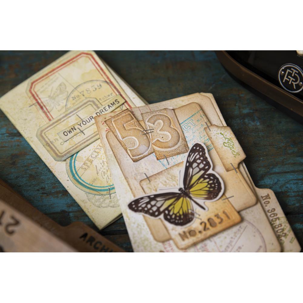 Sizzix Thinlits Dies By Tim Holtz - Specimen