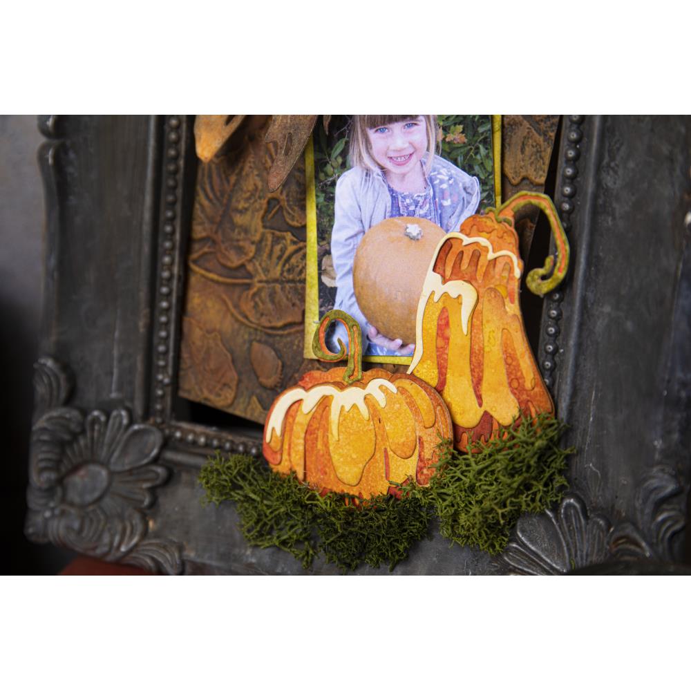 Sizzix Thinlits Dies By Tim Holtz - Pumpkin Duo Colorize
