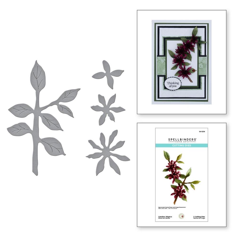 Spellbinders Etched Dies By Susan Tierney-Cockburn - Carolina Allspice- The Painter's Garden