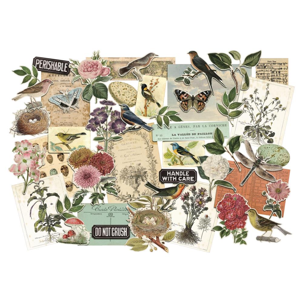 Idea-Ology Layers Die-Cuts