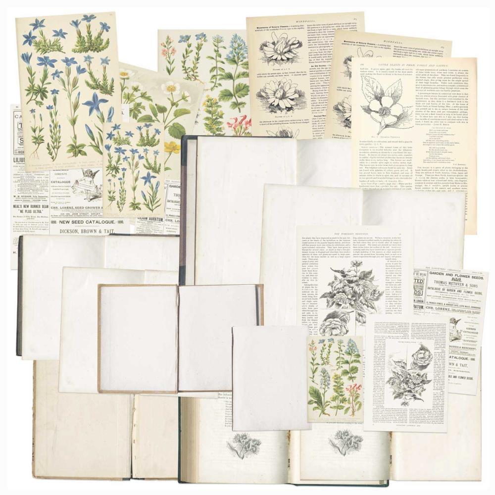 49 And Market Bookplates - Curators Essential - Crafty Divas
