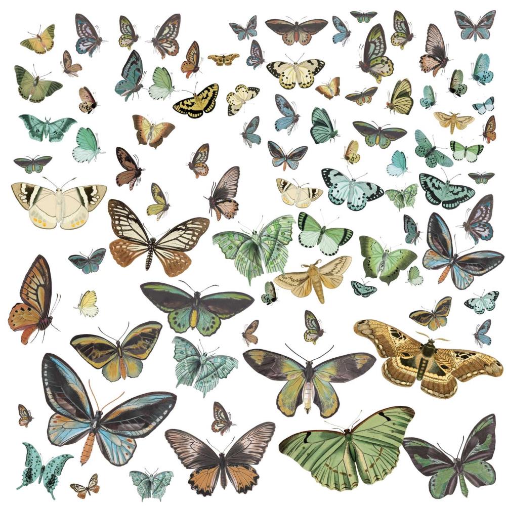 49 And Market - Laser Cut Outs Nature Study Wings - Crafty Divas