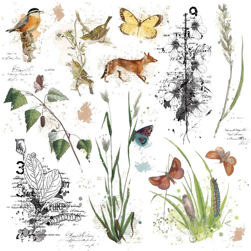 49 And Market Rub-Ons 12X12 - Curators Meadow - Crafty Divas