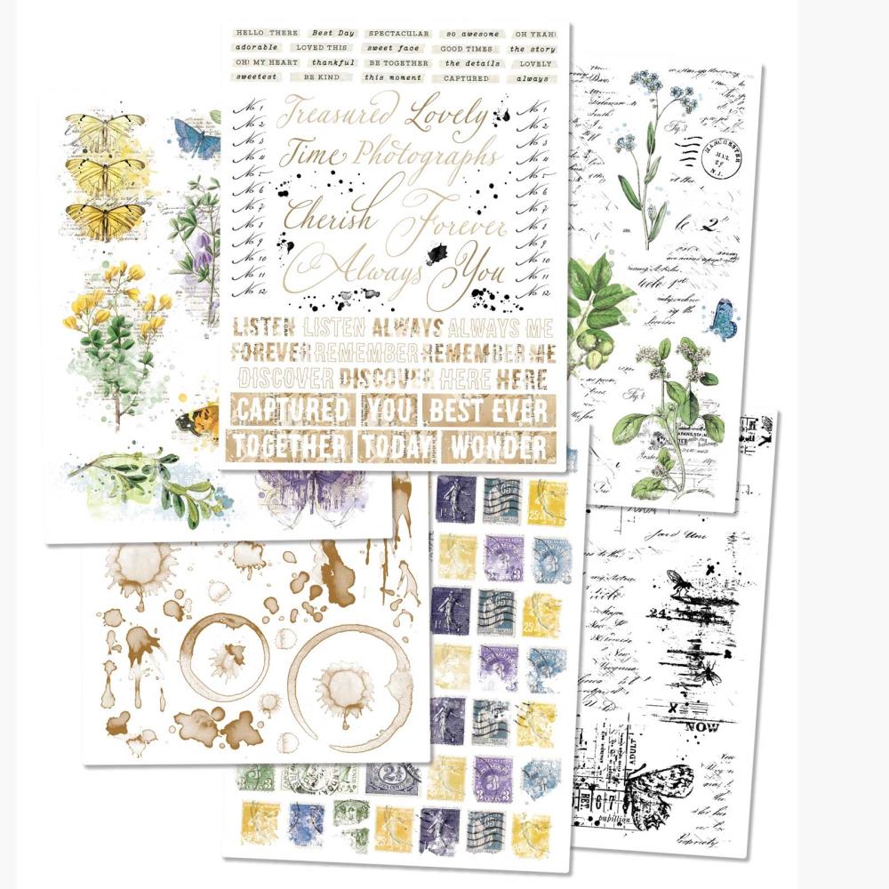 49 And Market Rub-Ons 6X8 - Curators Botanical - Crafty Divas