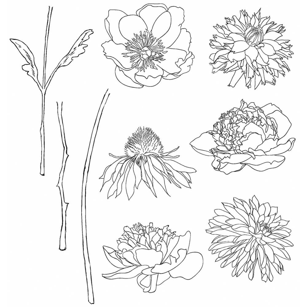 Tim Holtz Cling Stamps - Flower Garden