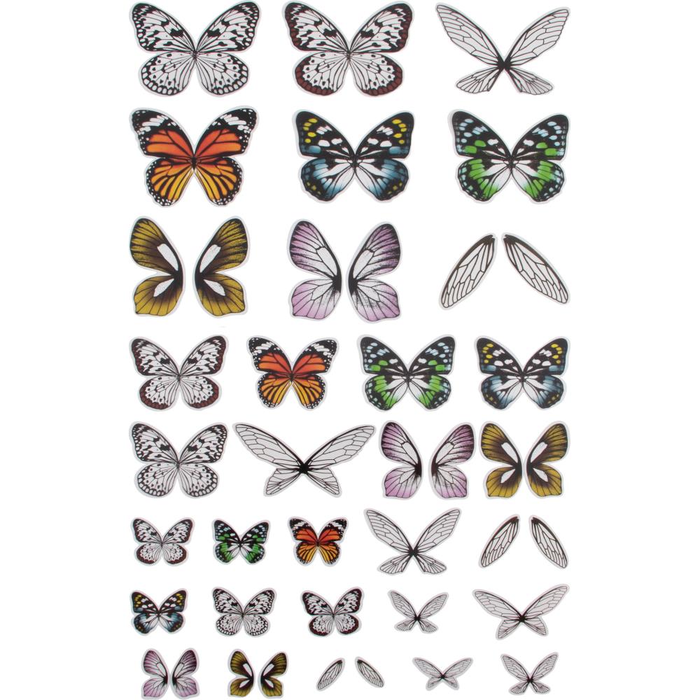 Idea-Ology Transparent - Acetate Wings