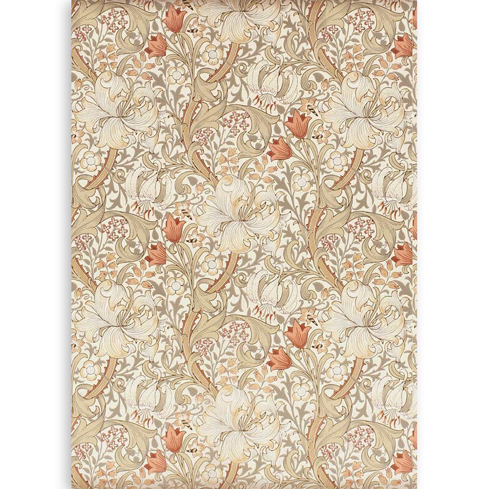 Stamperia Clear Background A4 - Casa Granada