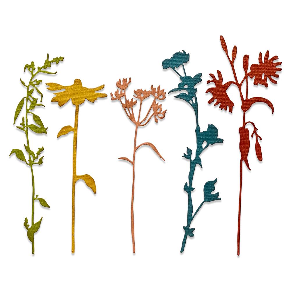 Sizzix Thinlits Dies By Tim Holtz - Wildflower Stems 3