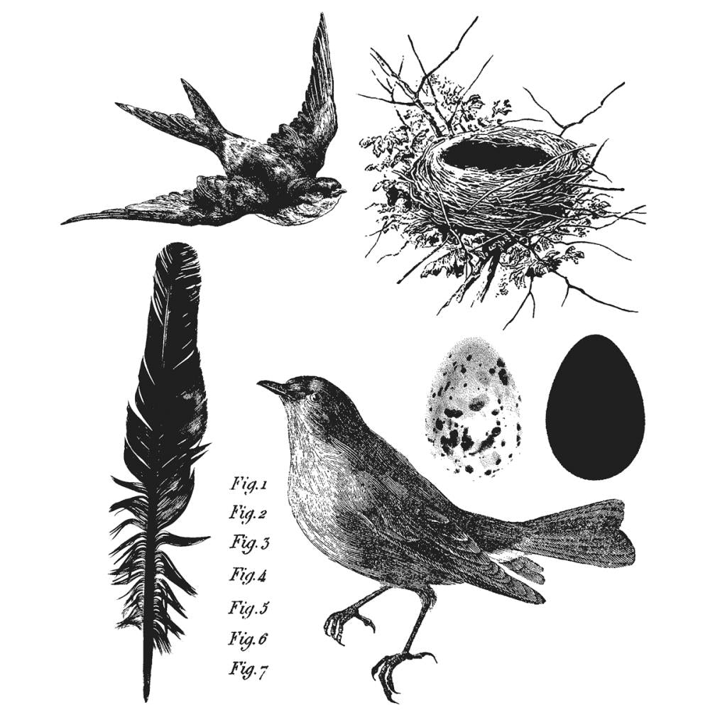 Tim Holtz Cling Rubber Stamp Set - Bird Feather