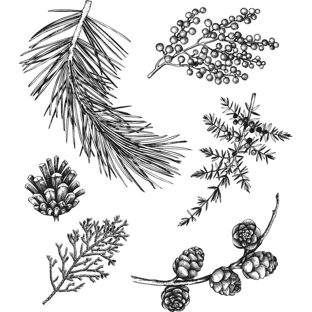 Tim Holtz Cling Rubber Stamp Set - Forest Floor