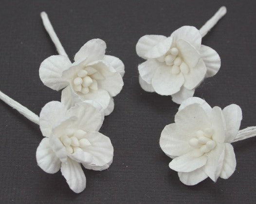 Cherry Blossoms - White - Crafty Divas