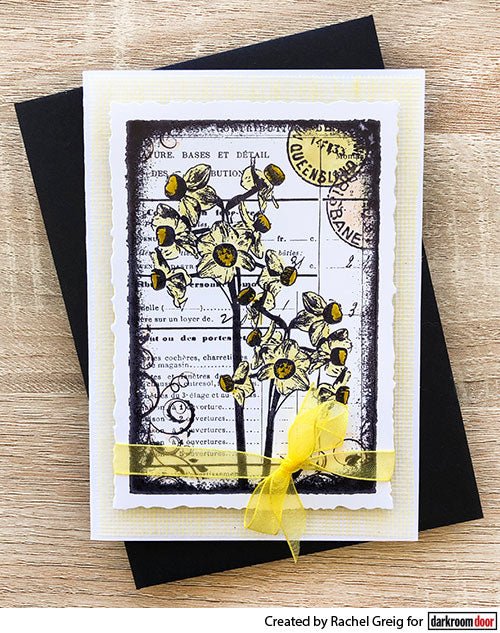 Collage Stamp - Jolly Jonquils - Crafty Divas