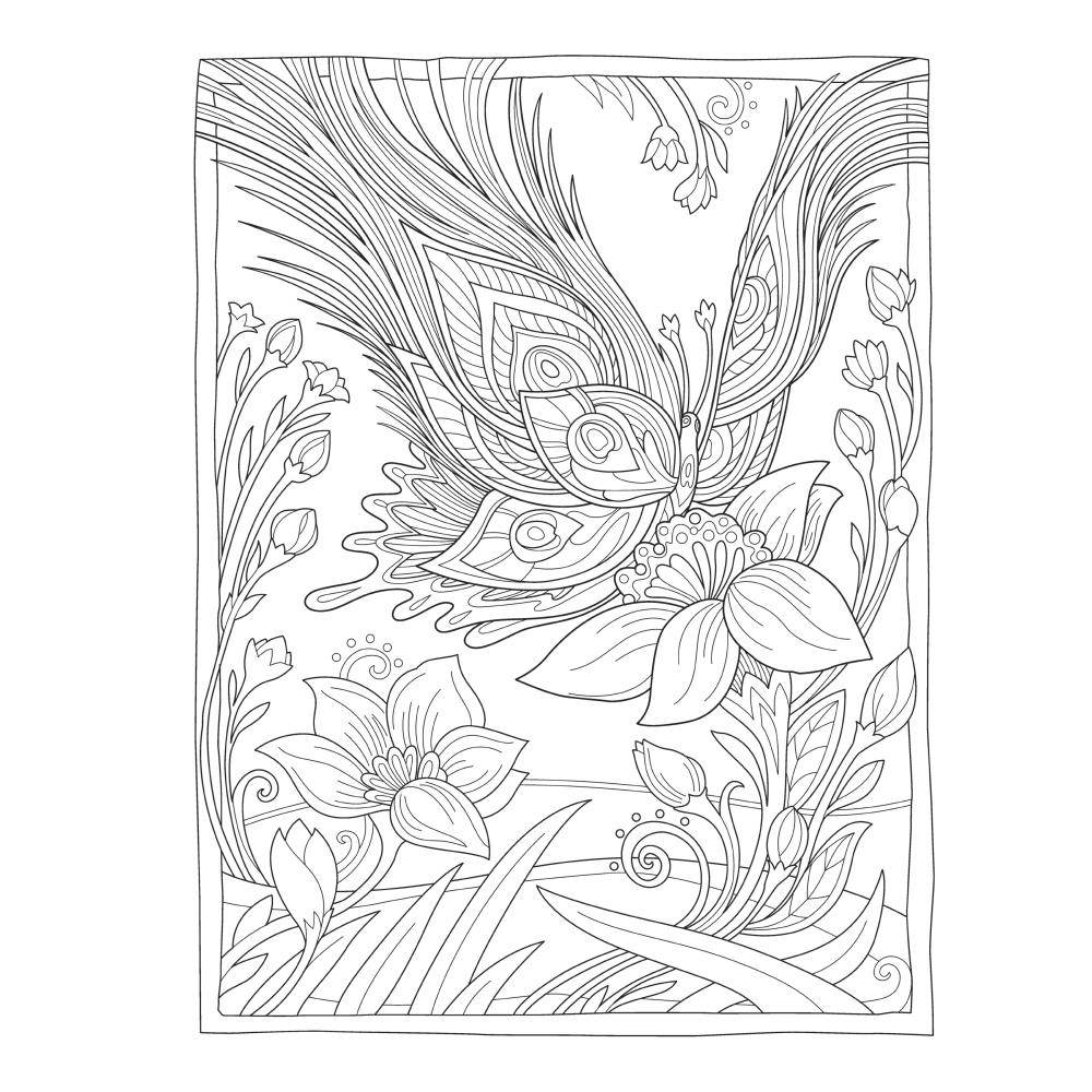 Creative Haven Colouring Book - Butterflies Flights - Crafty Divas
