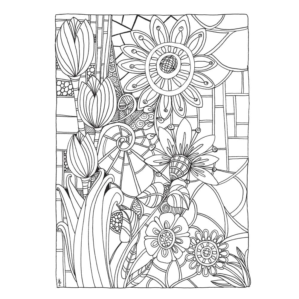 Creative Haven Colouring Book - Entangled - Crafty Divas