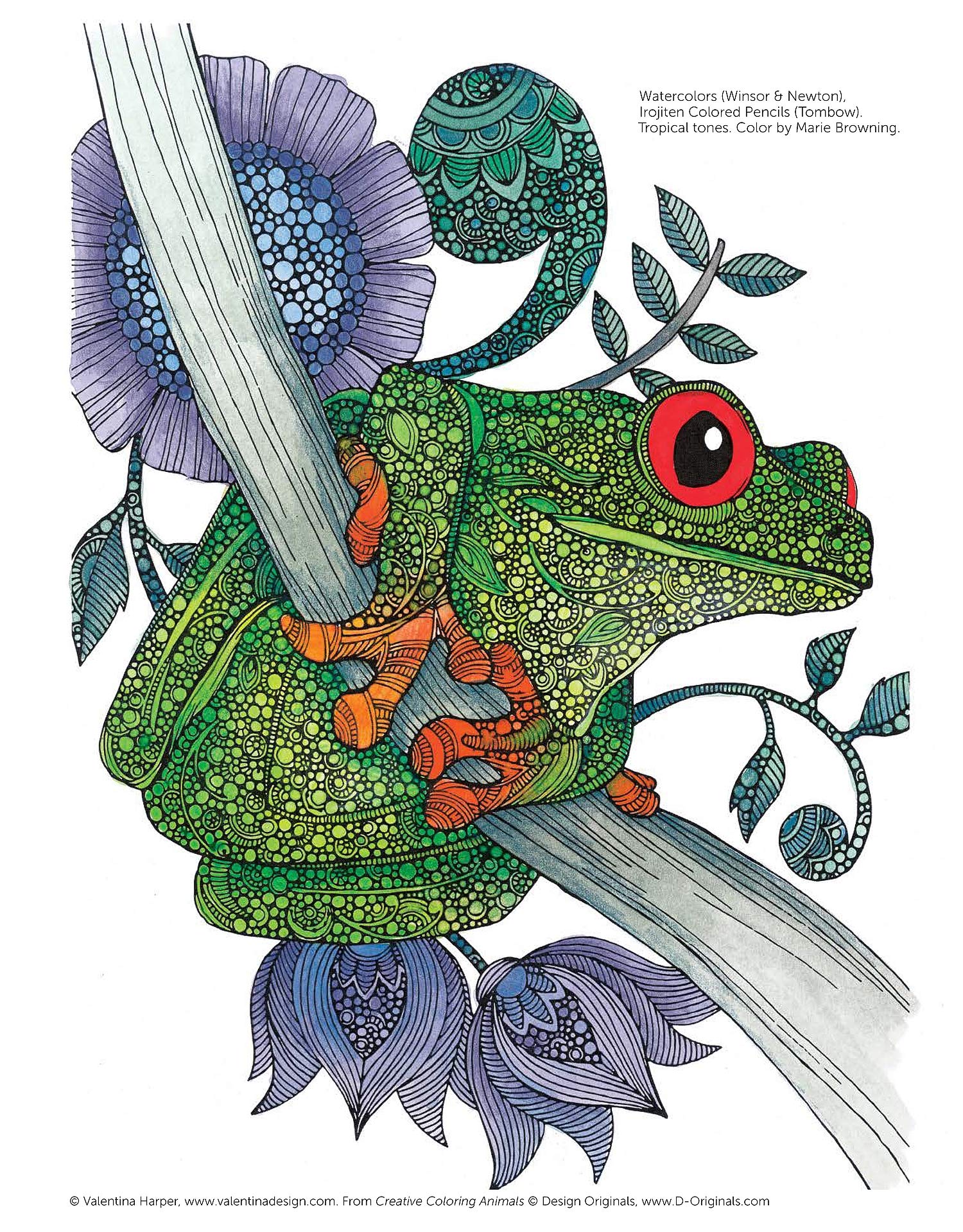 Design Originals Colouring Book - Creative Coloring Animals - Crafty Divas