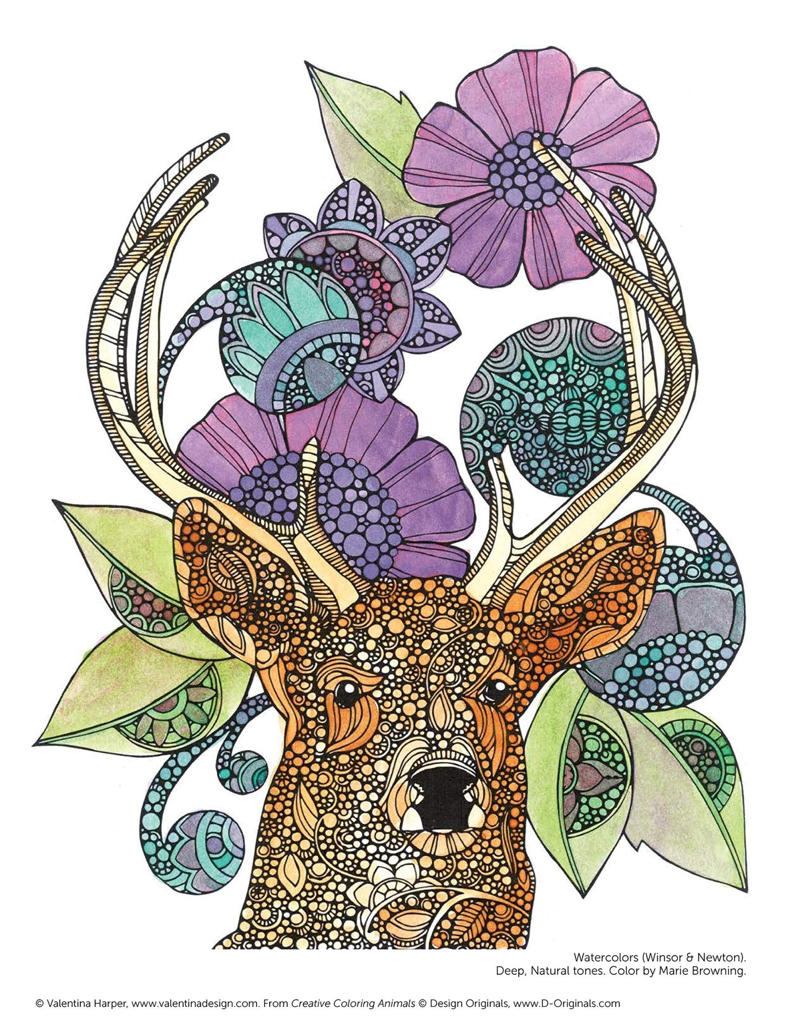 Design Originals Colouring Book - Creative Coloring Animals - Crafty Divas