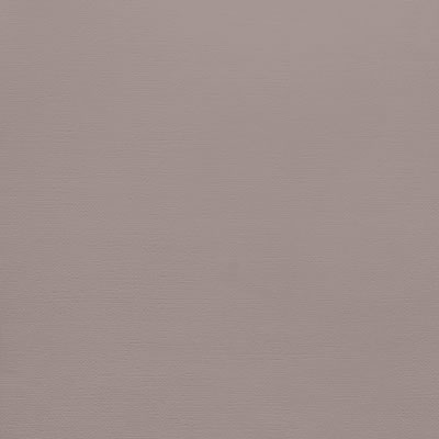 Textured Cardstock - Nickel